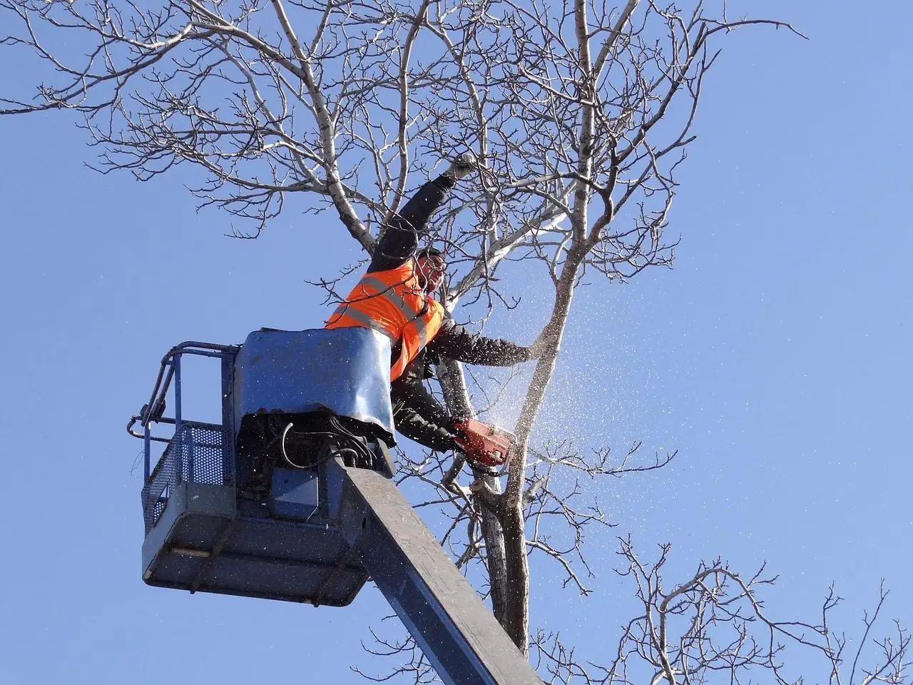 Worker in an orange vest cutting a branch with a chainsaw from an aerial lift basket against a blue sky