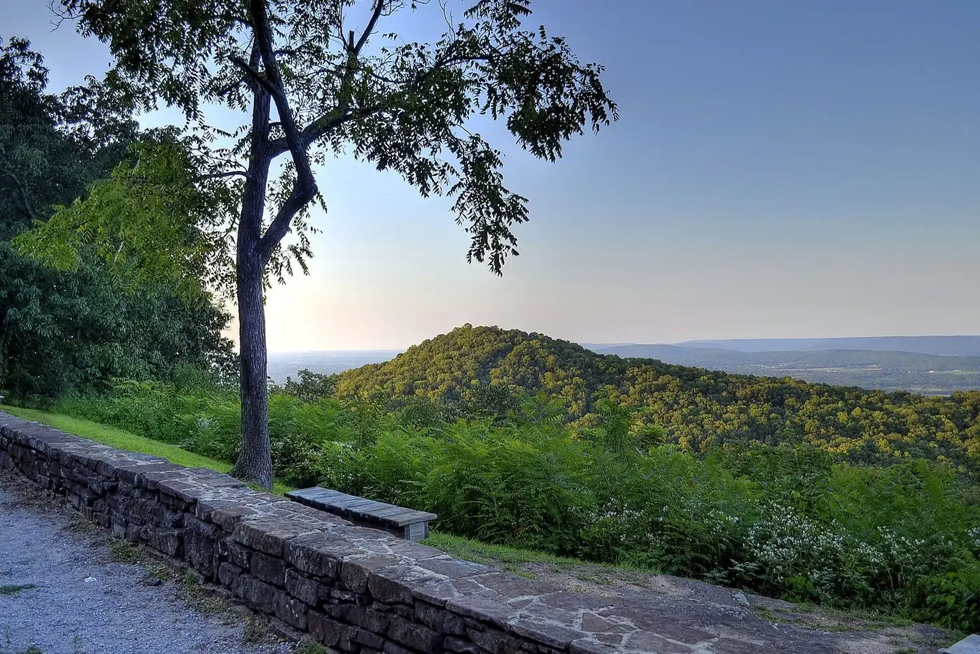Stone wall and a tall tree at a mountain overlook, with green wooded ridges and a valley beyond